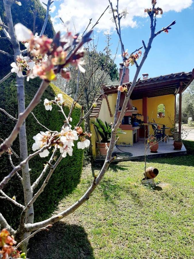 Vasiliki'S House Zacharo , 27054 , Ilias Appartement Buitenkant foto
